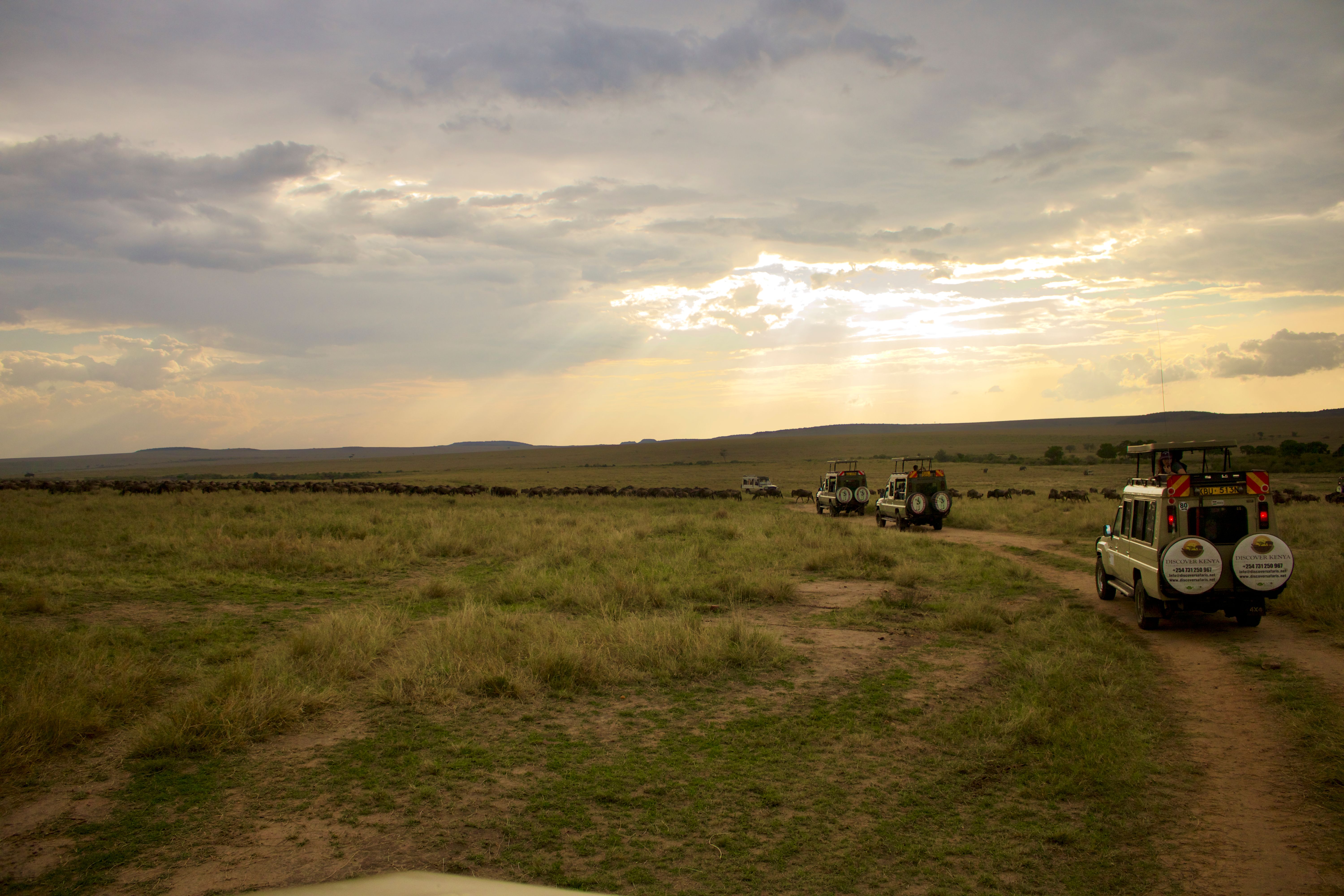 African safari landscape